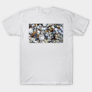 Seashell Beach T-Shirt